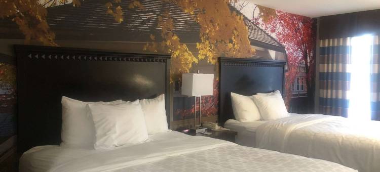 康福特旅馆 - Corydon(SureStay Plus by Best Western Corydon)图片