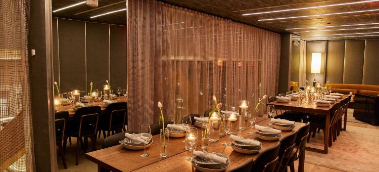 布鲁克林威廉斯堡英迪格酒店(Hotel Indigo WILLIAMSBURG - BROOKLYN by IHG)图片