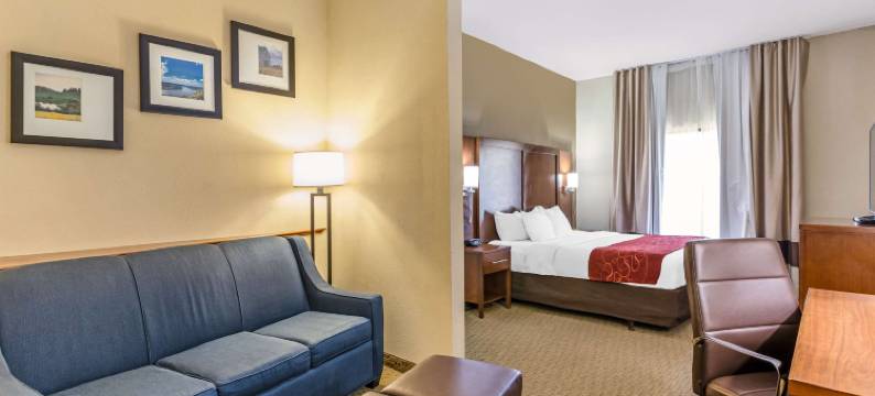 亨廷顿索斯波因特舒适套房酒店(Comfort Suites South Point - Huntington)图片