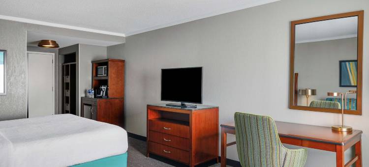 阿伦敦西希尔顿花园旅馆(Hilton Garden Inn Allentown West)图片