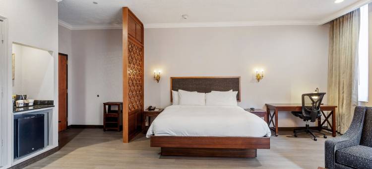 温德姆花园酒店-新奥尔良巴罗纳广场(Wyndham Garden Baronne Plaza New Orleans)图片