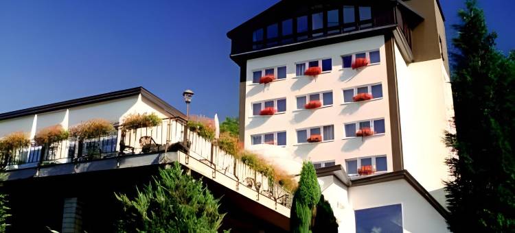 瑞丰恩斯坦酒店(Hotel Reifenstein)图片