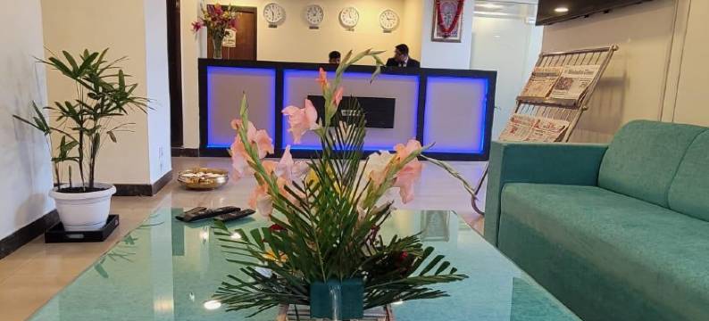 玫瑰锦葵酒店新德里(RoseMallow Hotel New Delhi)图片