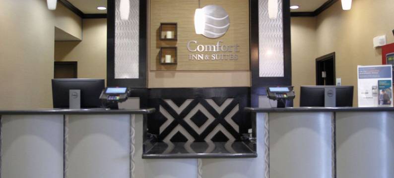 达拉斯医疗市场中心舒适酒店及套房(Comfort Inn & Suites Dallas Medical-Market Center)图片