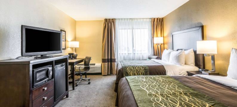 舒适酒店-市中心(Comfort Inn Downtown)图片