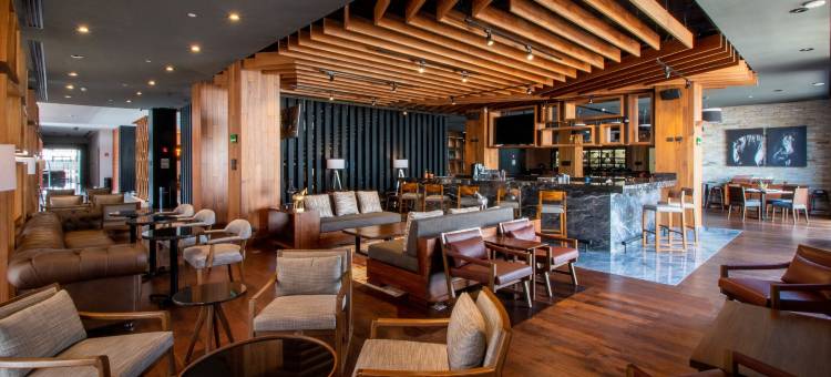 塞拉亚希尔顿逸林酒店(DoubleTree by Hilton Celaya)图片