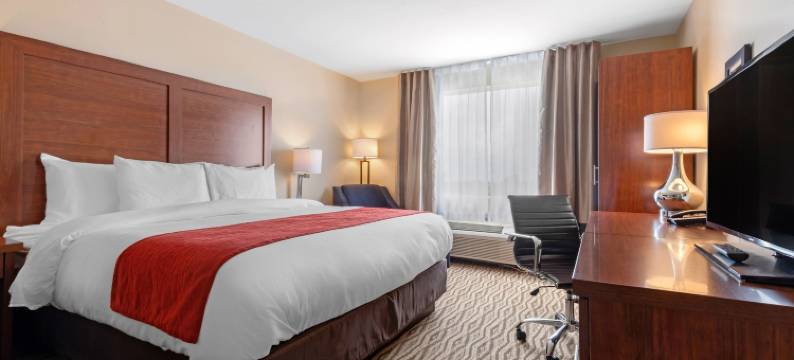 舒适套房酒店(Comfort Inn & Suites)图片