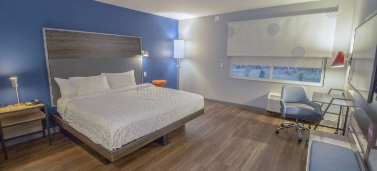 弗吉尼亚诺福克机场希尔顿Tru酒店(Tru by Hilton Norfolk Airport)图片