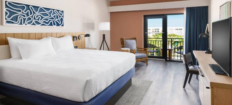 圣彼得海滩希尔顿花园酒店(Hilton Garden Inn St. Pete Beach)图片