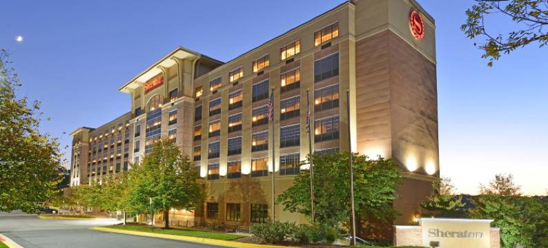 巴尔的摩华盛顿机场喜来登酒店-I(Sheraton Baltimore Washington Airport Hotel - BWI)图片