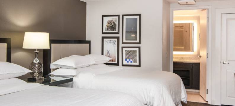 明尼阿波利斯西喜来登酒店(Sheraton Minneapolis West Hotel)图片