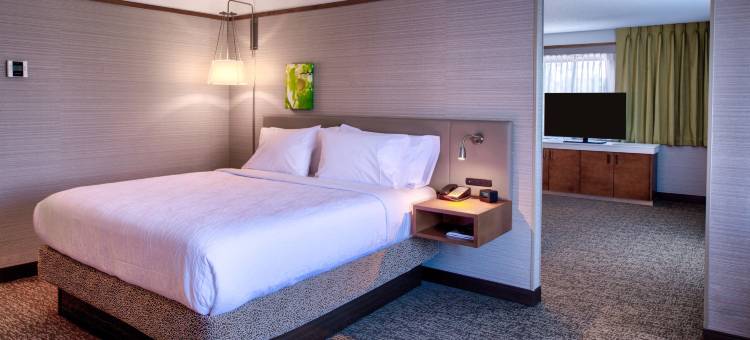 底特律南园市希尔顿花园酒店(Hilton Garden Inn Detroit-Southfield)图片