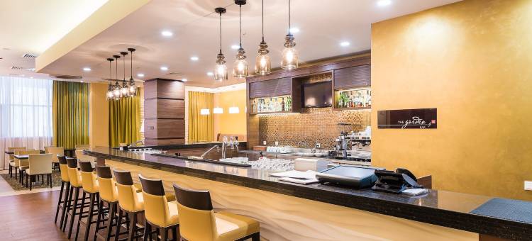 克拉斯诺亚尔斯克希尔顿花园酒店(Hotel Hilton Garden Inn Krasnoyarsk)图片