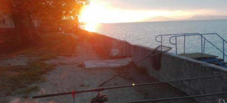 Villa Gabriella - Vízparti图片