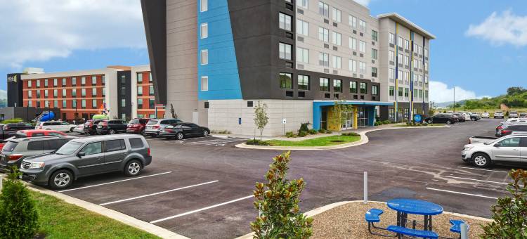 皮金福奇希尔顿Tru酒店(Tru by Hilton Pigeon Forge)图片