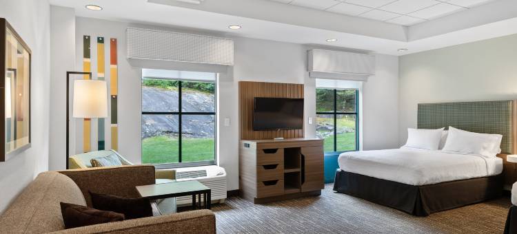 希尔顿欢朋套房酒店-乔治湖(Hampton Inn & Suites Lake George)图片