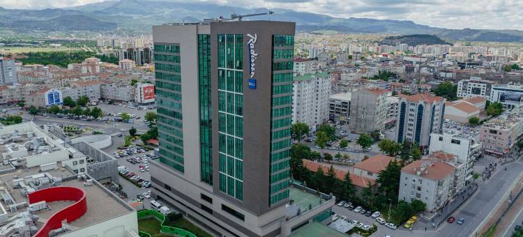 丽笙蓝标酒店-开塞利(Radisson Blu Hotel, Kayseri)图片