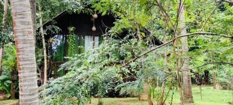 Nature World Udawalawe图片