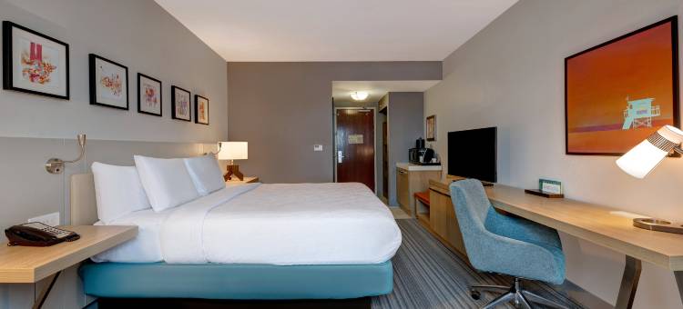 坦帕西北奥尔兹马希尔顿花园酒店(Hilton Garden Inn Tampa Northwest/Oldsmar)图片