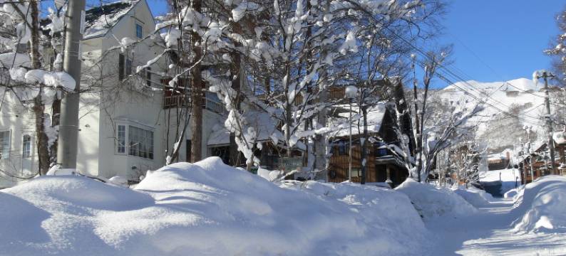 联运高级旅馆(Pension Locomotion)图片