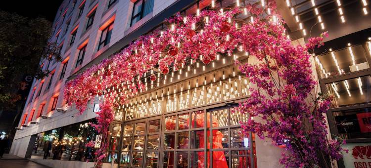 丽笙红-马德里(Radisson Red Madrid)图片