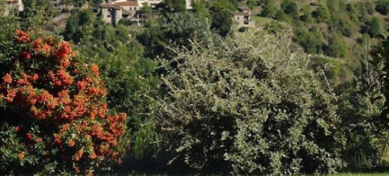 克莱尔马汀民宿(Clair Matin)图片