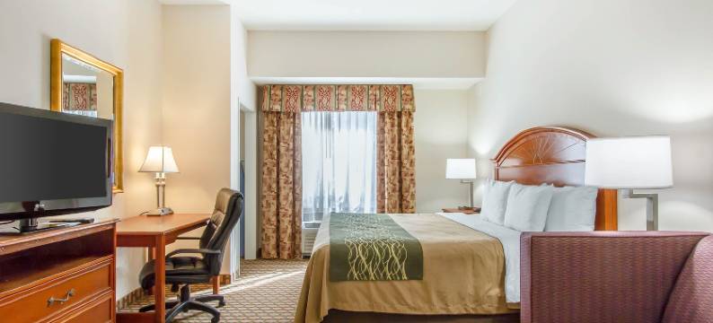 诺曼大学附近舒适套房酒店(Comfort Inn & Suites Norman Near University)图片