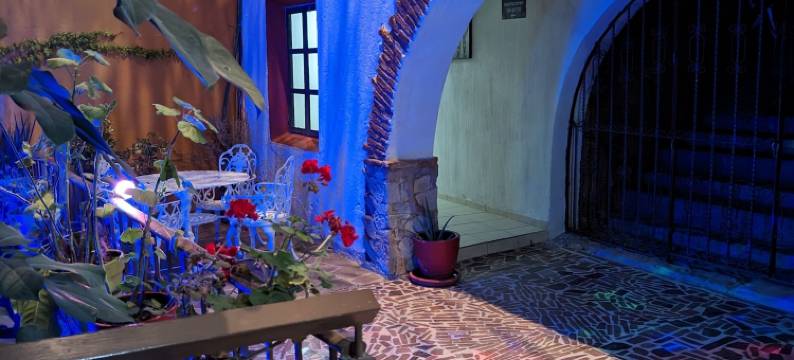 瓜纳华托1988酒店(Hotel 1988 Guanajuato)图片