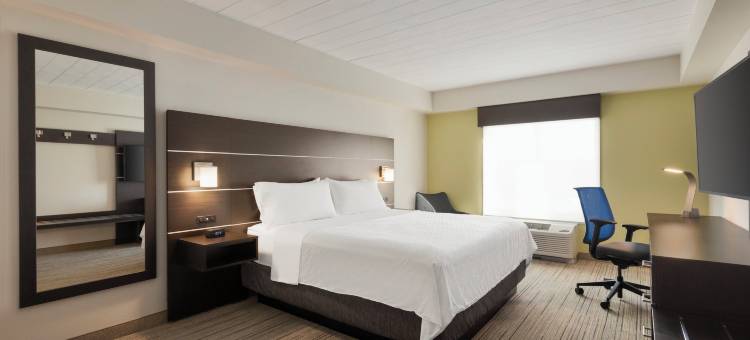 Holiday Inn Express & Suites FT迈尔斯堡东论坛(Holiday Inn Express & Suites FT MYERS EAST- THE FORUM by IHG)图片