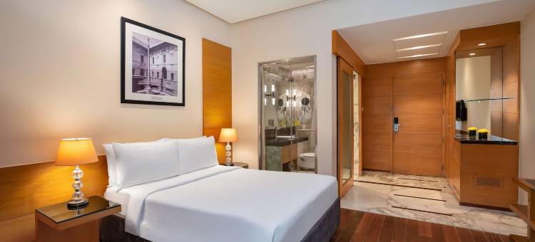 康诺特广场丽笙酒店(Radisson Blu Marina Hotel Connaught Place)图片