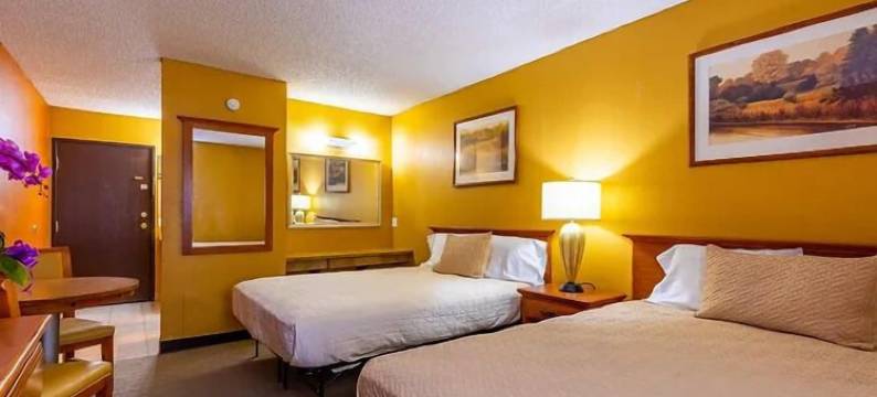 阳光谷套房(Sun Valley Suites)图片