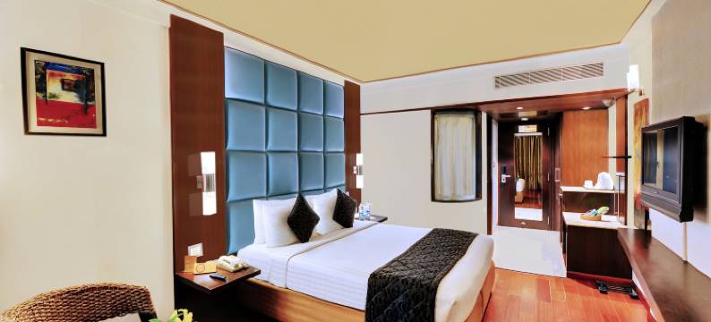 艾瑞斯商务酒店(Iris the Business Hotel)图片
