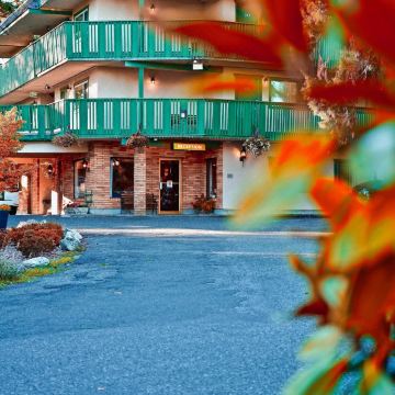 罗宾汉套房酒店(Robin Hood Inn and Suites)图片