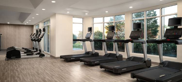 南里士满南方公园希尔顿花园酒店(Hilton Garden Inn Richmond South/Southpark)图片
