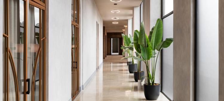 凯悦尚萃 圣何塞 埃斯卡苏(Hyatt Centric San Jose Escazu)图片