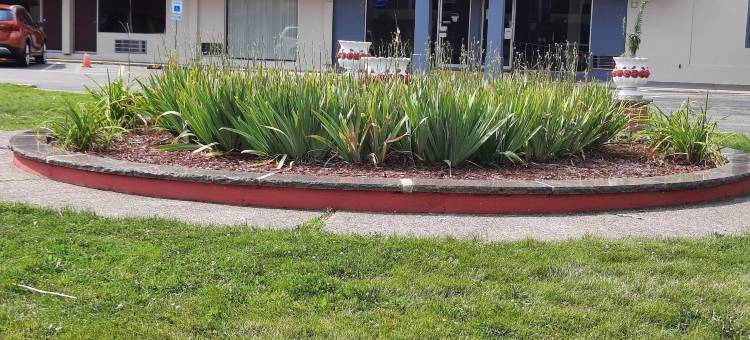 OYO伊利诺伊莫林市区I-74北酒店(Americas Best Value Inn Moline)图片