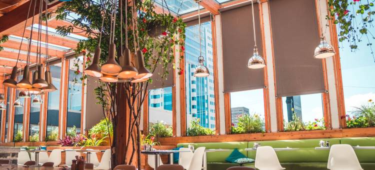 古典酒店(Hotel Classique)图片