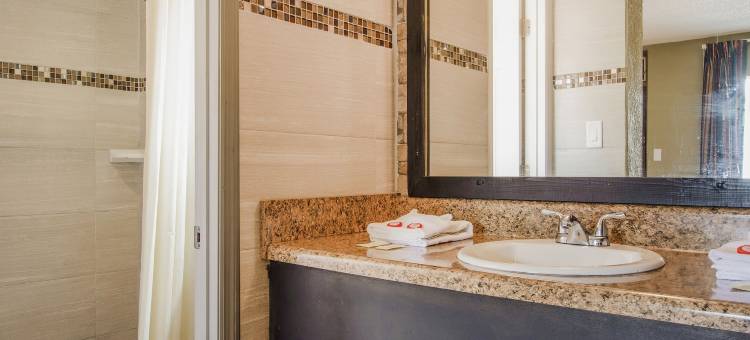 OYO 巴托精品经济酒店(OYO Superior Budget Inn Bartow)图片