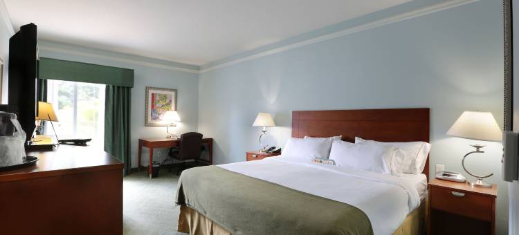 Holiday Inn Express 坦帕北 - 电信公园(Holiday Inn Express Tampa N I-75 - University Area)图片