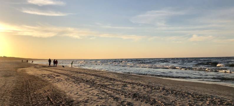 乌普斯塔尔斯布姆特拉森海德(Upstalsboom Trassenheide)图片