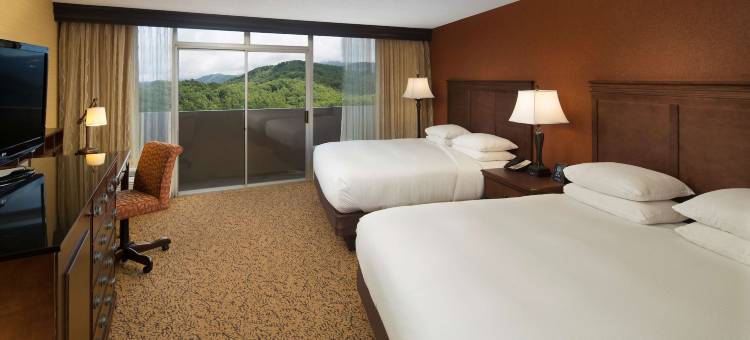 加特林堡远景公园逸林酒店(The Park Vista - a DoubleTree by Hilton Hotel - Gatlinburg)图片
