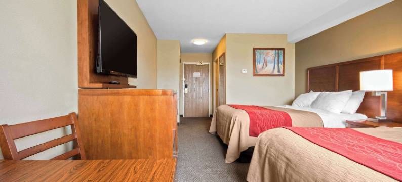 兰利舒适酒店(Comfort Inn & Suites)图片