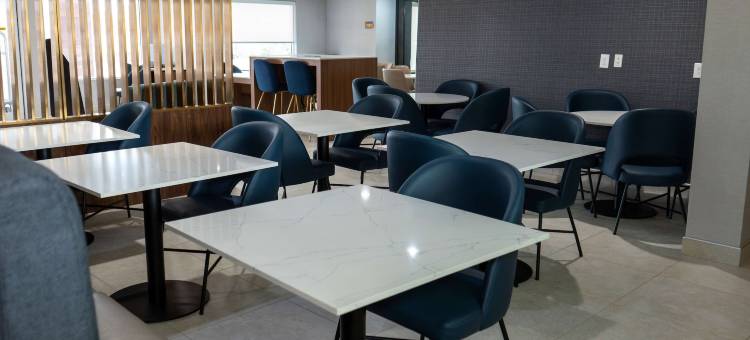 达拉斯梅斯基特拉昆塔温德姆套房酒店(La Quinta Inn & Suites by Wyndham Dallas Mesquite)图片