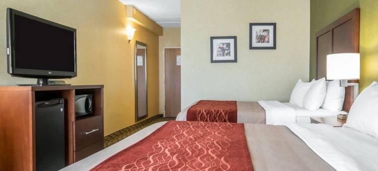 舒适酒店(Comfort Inn)图片