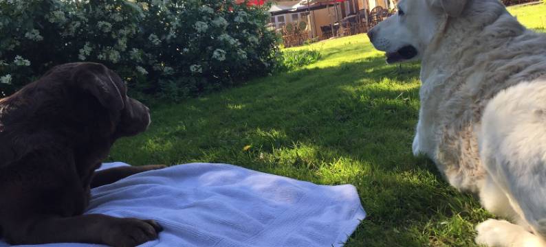 梅尔基奥尔酒店(Le Melchior)图片