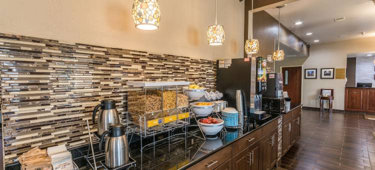 北奥罗拉-内珀维尔舒适套房酒店(Comfort Inn & Suites North Aurora - Naperville)图片