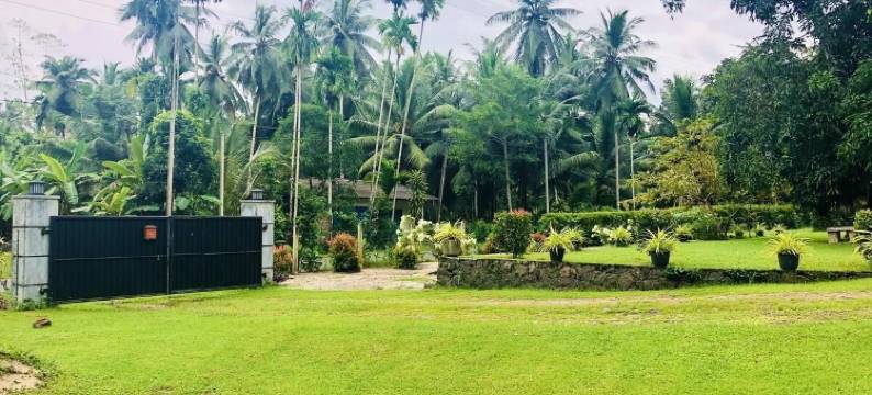 自然度假屋酒店(The  Nature  Holiday  Home)图片