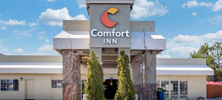 舒适套房酒店(Comfort Inn & Suites)图片