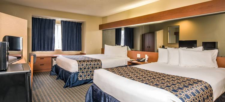 利物浦-多拉山麦客达套房酒店(Microtel Inn & Suites by Wyndham Leesburg/Mt Dora)图片