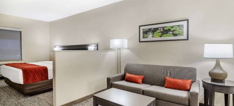 舒适酒店奥兰治I-10(Comfort Inn Orange I-10)图片